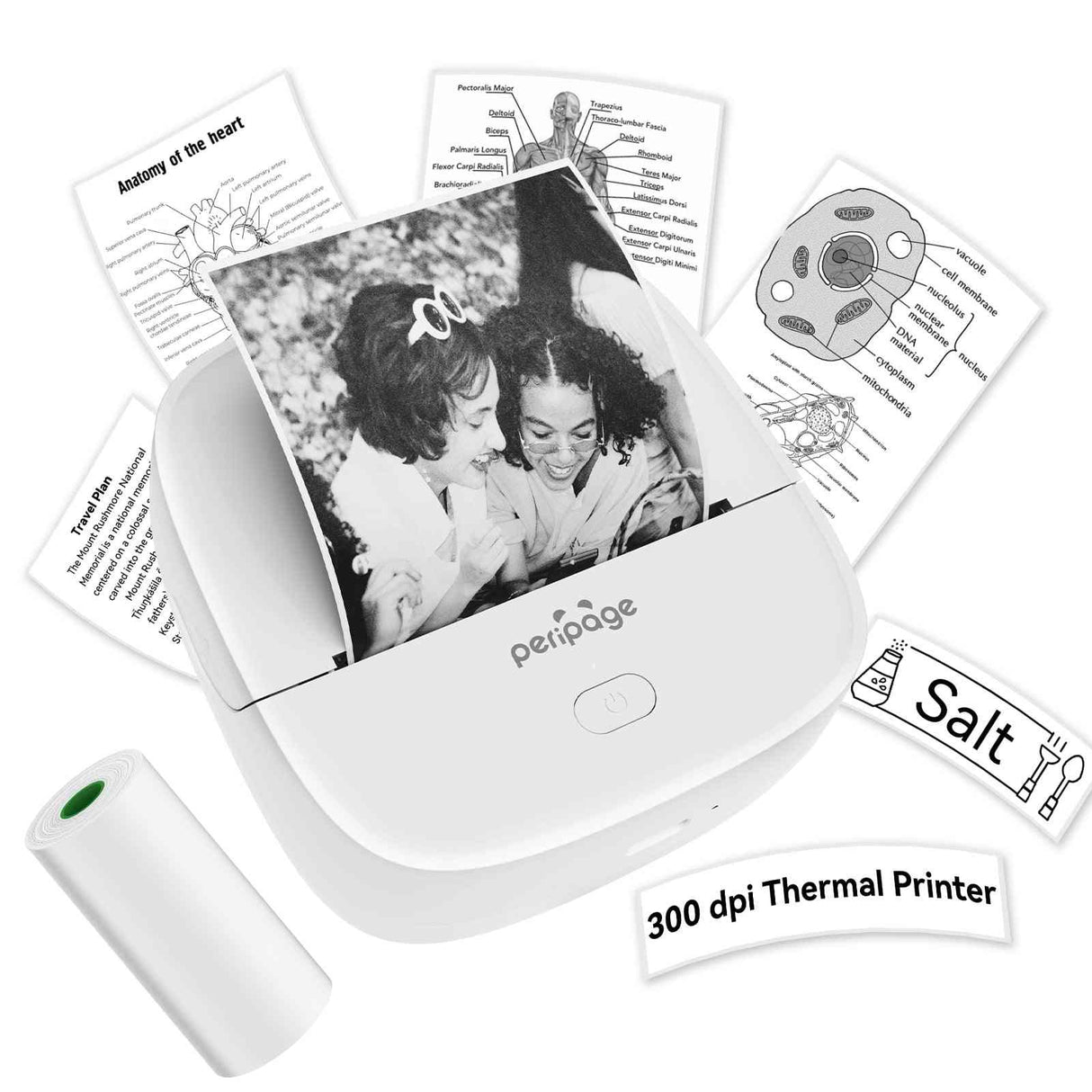 Print detailed educational materials like this heart anatomy diagram with the PeriPage P22, a valuable tool for students and teachers.
