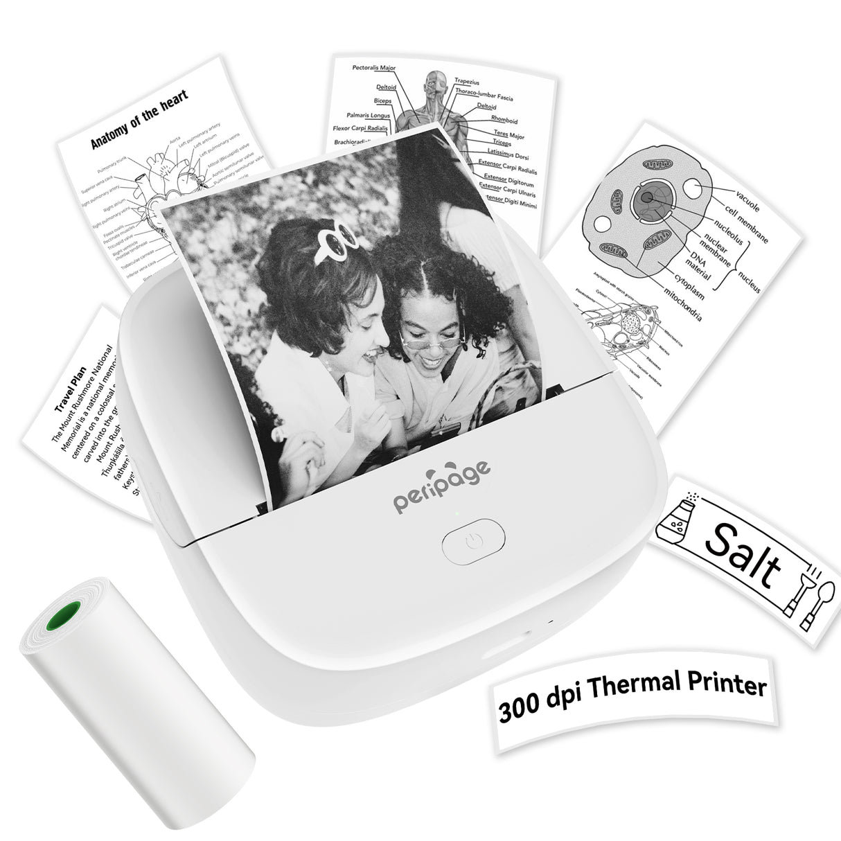 Print detailed educational materials like this heart anatomy diagram with the PeriPage P22, a valuable tool for students and teachers.